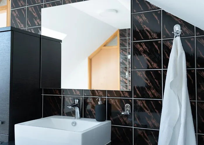 Big Duplex Terrace Free Parking Center Lublaň