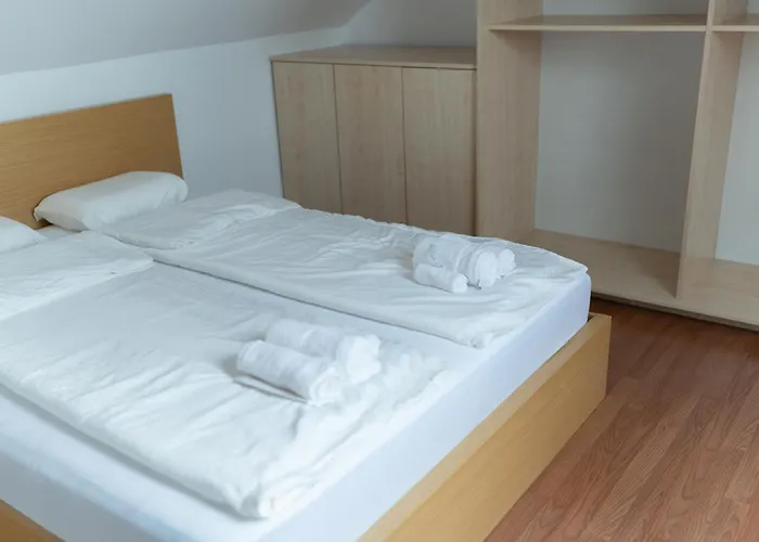 Big Duplex Terrace Free Parking Center Lejlighed Ljubljana